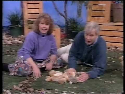 Play School - John, Noni and Benita - Earth Friday - FULL EPISODE