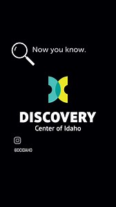 Star Wars is set in a galaxy far, far away. 🌌 How far is our closest galaxy? In 2003, NASA discovered the Canis Major Dwarf Galaxy, which is only 25,000 light years from the Sun. It would take about 749,000,000 years to reach this galaxy at Voyager's speed, which translates to over 35,000 mph. 🚀 This galaxy orbits the Milky Way and wasn't discovered until recently because it was so well-hidden by the dust in the plane of the Milky Way. As it orbits, it leaves a long trail of stars, gas and dus