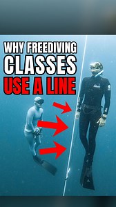 Why are all freediving classes taught on a line when many students will never dive on a line again? Because diving straight down a line forces perfect technique. Most freedive & spearos dive at an angle, which means longer to reach depth, more oxygen burned, and less bottom time. Train your body to dive straight like a laser in class, and then you'll have better form when not diving on a line. Want tips on HOW to dive perfectly straight? Comment “#straight” (yes with the hashtag) below and I wil