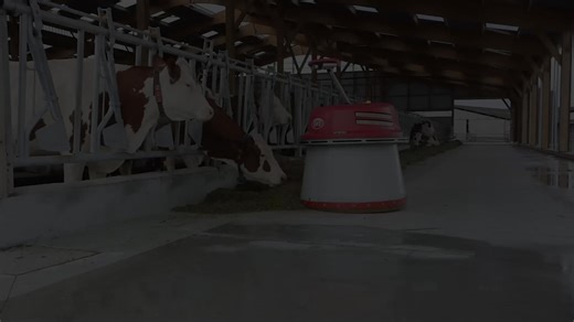 Keep feed within reach without lifting a finger! 💪 The Lely Juno automatic feed pusher keeps feed fresh and accessible around the clock, saving you time, fuel, and labor while improving animal health and performance. ✅ Limited-time offer! ✅ Now through March 31, 2026, get 0% financing for 36 months or $3,000 USD off your purchase. 👉 Learn more: https://hubs.ly/Q03VFHKY0 | Lely