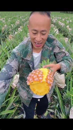 The Fruit Tree Scam and the Truth Behind Those Sweet Pineapples