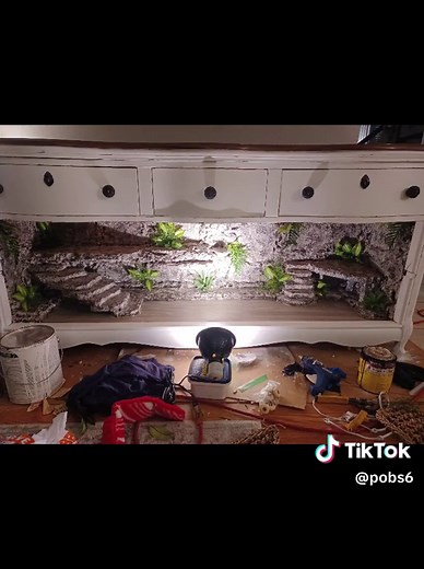 Bearded Dragon Enclosure Building Process