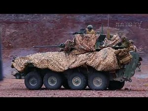 Platoon Attack in ITX 1-25: 1st and 3rd LAR Collaboration