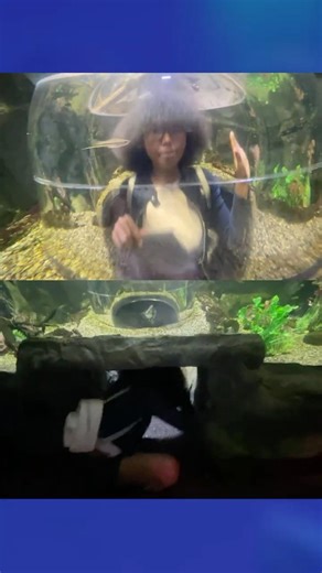 I went to the Animal Crossing Sea Life Tour! #animalcrossing #nintendo #gaming