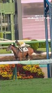 横山和生騎手 17勝目 サムシャイン ルヴァンスレーヴ産駒 3回中山初日 12R 4歳上2勝クラス ダ1800m