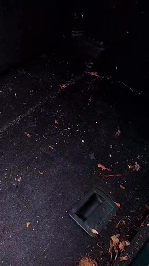 CARSHINE DETAILING (@carshine.detailing1)’s videos with GO VIRALIZER! - igor g