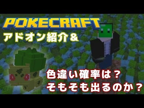 【MinecraftPE/BE】マイクラpeでポケモンアドオン紹介!!