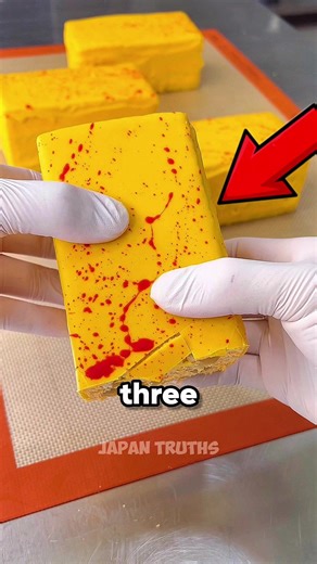Japan Truths TikTok'ta