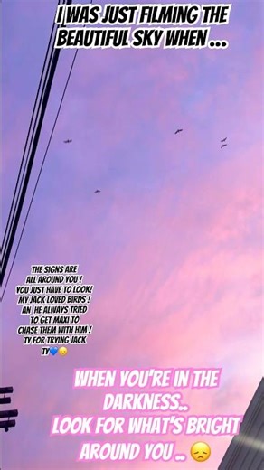 I was just filming the beautiful sky when …