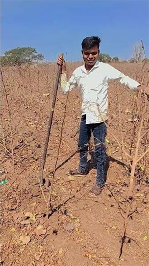 Work Time 💪😁#shorts #ytshorts #treadingshorts #short #old #song #viral #sort #trending #hindi