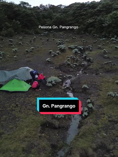 Lembah Mandalawangi: Exploring the Beauty of Gunung Pangrango