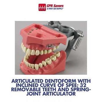 Dental Model Simulator