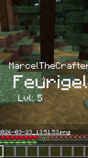 MarcelCraft spielt Pokemon in Minecraft