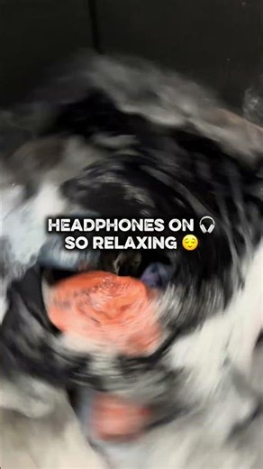 This Old Washing Machine Sound Is So Satisfying 🎧