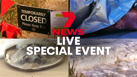From the Eyre Peninsula to the Fleurieu and metro Adelaide, once-pristine beaches have turned into marine graveyards, leaving SA’s seafood and tourism industries facing an uncertain future. In a special live event, the state's key decision-makers will answer your questions. Watch Sea Sick: South Australia’s algae crisis this Wednesday at 7pm on Channel 7 Adelaide and 7plus. | 7NEWS Adelaide