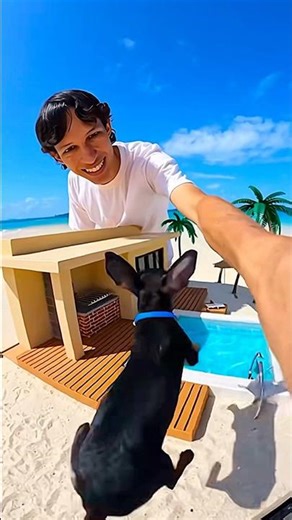 🏠 IMAGINA que tu PERRITO NECESITA una NUEVA CASA, Cuál de estas ELIGES para ÉL? 🐶😍