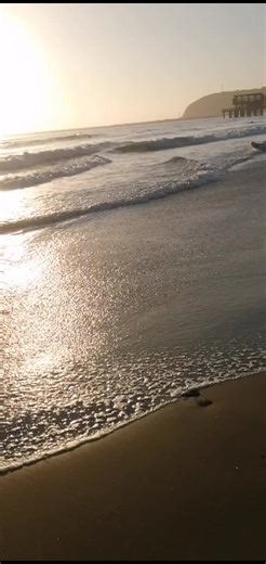 Charmaine (@cherylsharp)’s videos with original sound - chardriek