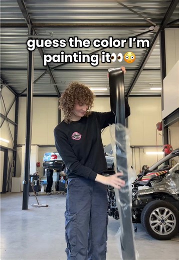 Guess the Color of My Honda Civic Project