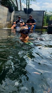 1.4K views · 486 reactions | Houston Swimming with Fred the Fly River Turtle in Our Recreational Pond In The Aquagardens at Aqualand  | Greg Wittstock the Pond Guy | Facebook