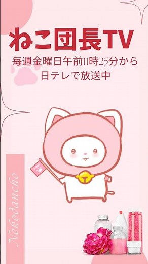 ねこ団長TV明日放送です💗