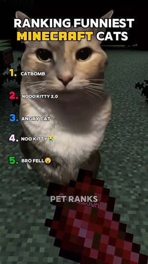 Ranking Funniest Minecraft Cats Moments😂🤣 #cat #funnyanimal #funny #minecraft