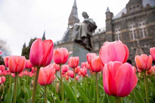 New Student Website - School of Public Policy - Georgetown