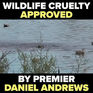 14K views · 1K reactions | Today is the opening day of Victoria’s...