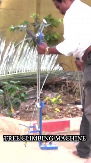 19K views · 165 reactions | சுலபமாக மரம் ஏறலாம் Tree climbing Machine!! | JJ Idea Pasumai Bhoomi | Facebook