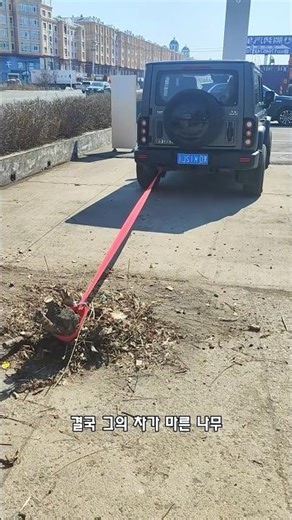 A man who was ridiculed for pulling out tree roots in this way