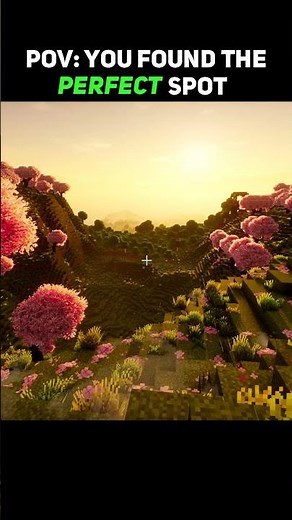 POV: You Spawn in the Perfect Minecraft Seed