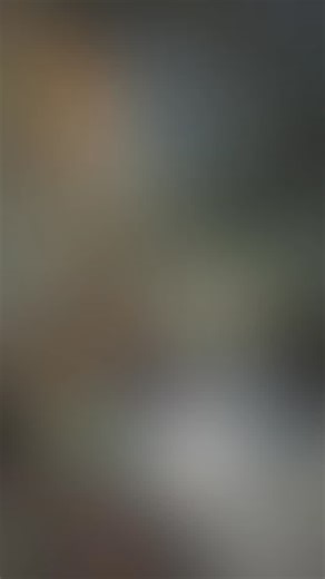 Vikash Meemrot on Instagram: "खाटू श्याम बाबा मंदिर"