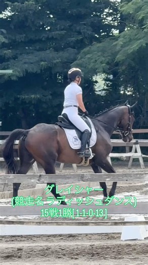 [RRC] グレイシャー(競走名 ラディッシュダンス) 61.970 % 狭山乗馬センター 鮮良徳子さん