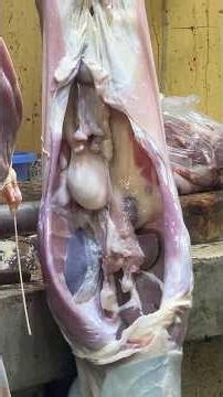 The Butcher Goat Processing for Meat | Mutton Cutting #thanksgivingweek #restauranthours