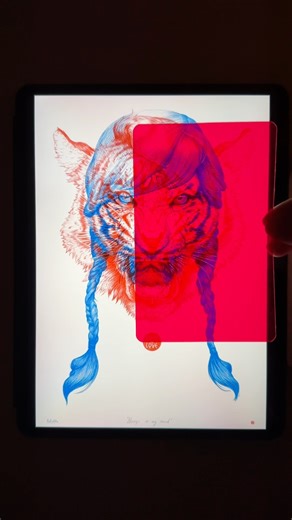Color Drawing Illusion using RED FILTER with Tiger 🐯 #illusion #coloring #drawing #diy #trick