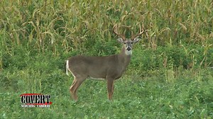 11K views · 216 reactions | Has this ever happened to you? (She was bowhunting) | Backwoods Life | Facebook