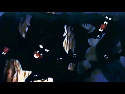 Lucki - High Off You visualizer