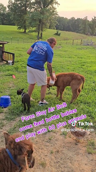 Farm Stay Experience with Mini Animals in Airbnb