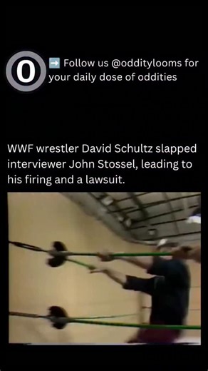 ODDITY LOOMS on Instagram: "➡️ Join our community @odditylooms for your daily dose of oddities. David Schultz slapped reporter John Stossel during a WWF backstage interview in 1984 after Stossel repeatedly questioned whether professional wrestling was fake; staying in character and visibly angered, Schultz struck him twice, knocking him down. The incident led to Schultz being fired by Vince McMahon and Stossel later suing the WWF, reportedly receiving a sizable settlement, making the moment one 