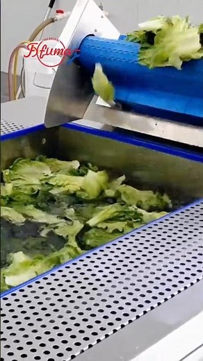 Salad Vegetable Washing Machine #vegetablewasher