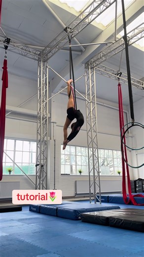 Aerial Hoop Tutorial for Beginners