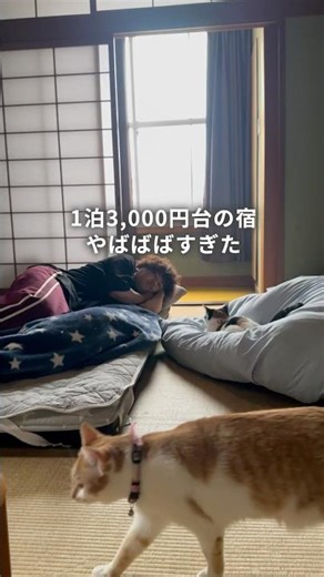 【四国旅】1人3,000円台で泊まれた可愛すぎる宿(2名1室)
