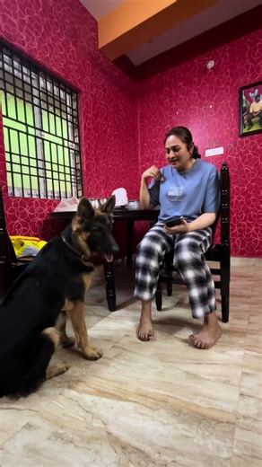 RAVEEN (@raveen031994)’s videos with original sound - RAVEEN