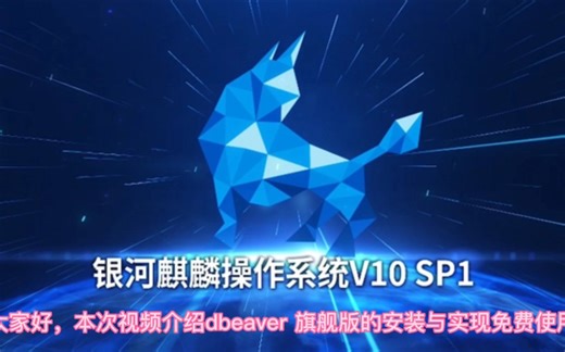 银河麒麟系统(arm64)安装dbeaver ultimate edition及pj过程