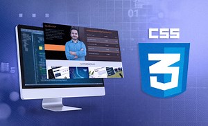 Curso Online: CSS Intermedio | Netzun