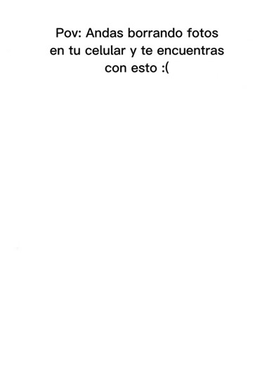 #CapCut 🥺🥺🥺 mi bb #cat