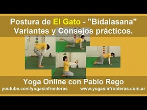 Postura de El Gato "Bidalasana" - Variantes y consejos prácticos.