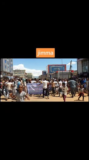 Sead Ahmedin on TikTok