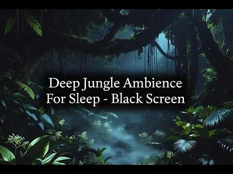 Deep Jungle Night Ambience 🌙 | Rainforest Sounds for Sleep (Black Screen, 6 Hours)