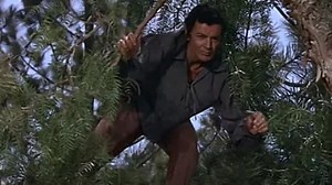 California Conquest (1952) Cornel Wilde, Teresa Wright, Alfonso Bedoya