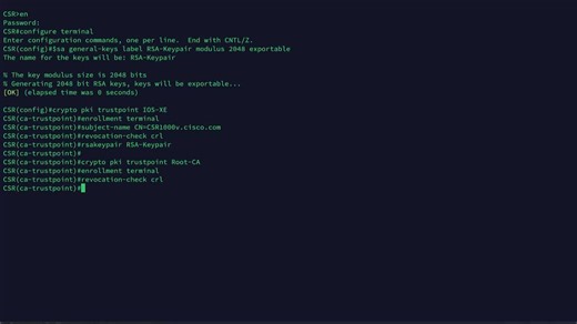 Generate CSR and Install CA Signed Certificate in PEM Format on IOS-XE - Cisco.com - Cisco Video Portal
